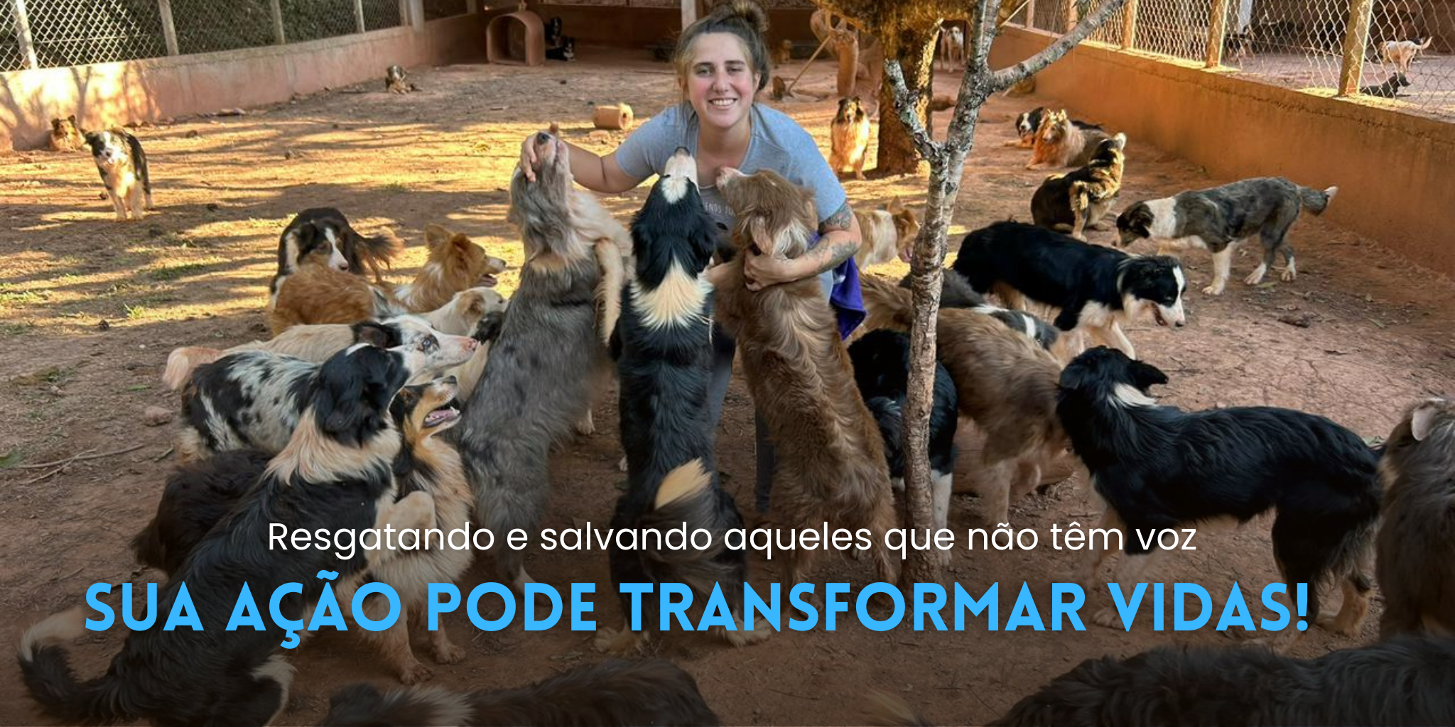 Resgaute - Mais de 160 vidas abandonadas e esquecidas dependem de você!